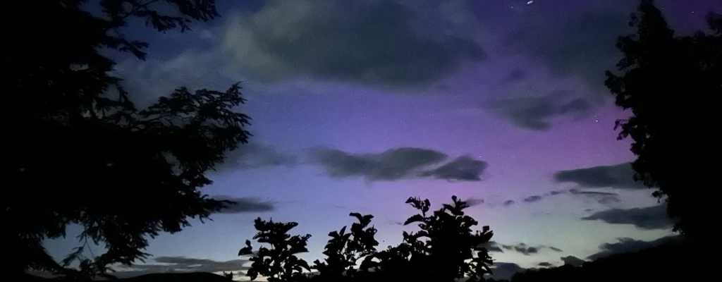 IMG 2204 hero cropped optimized 5